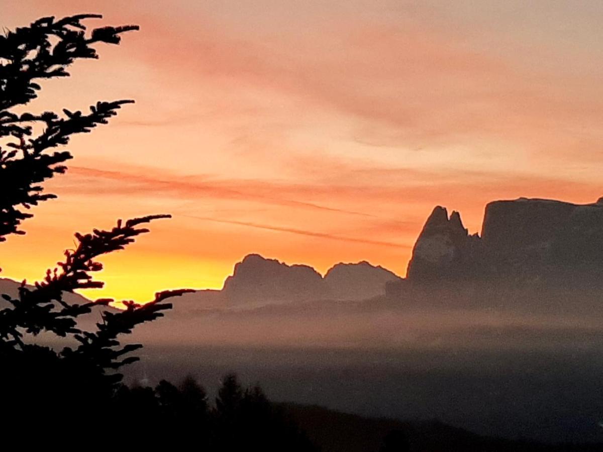 Wiesenhof Collalbo Buitenkant foto